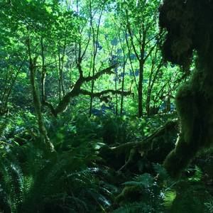 Meet your Posher, Doug